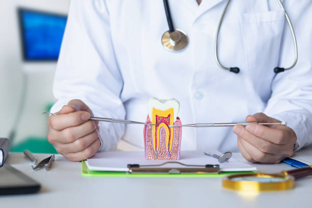 Best Emergency TMJ Treatment in Burnet, TX